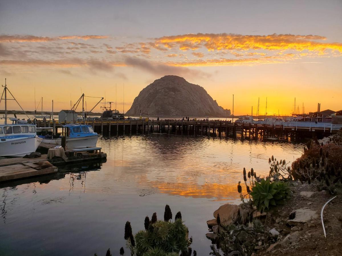 Gray'S Inn & Gallery Morro Bay Ngoại thất bức ảnh